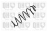 ALFA 50518645 Coil Spring